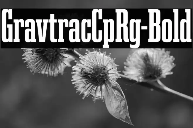 GravtracCpRg-Bold Font examples