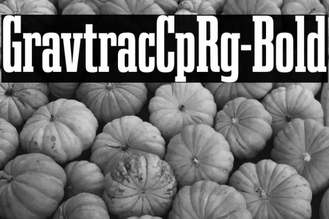 GravtracCpRg-Bold Font examples