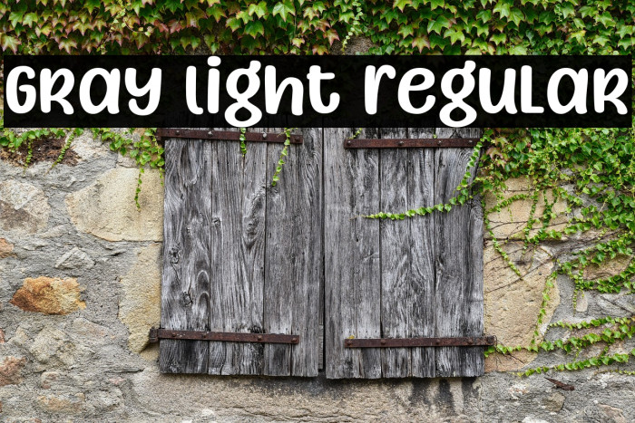 Gray Light Regular Example 1