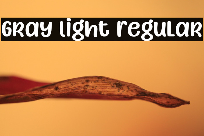 Gray Light Regular Example 3