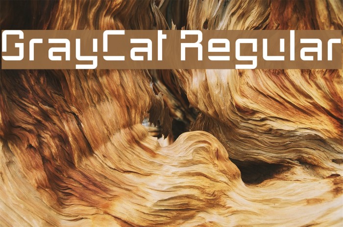 GrayCat Regular Font examples