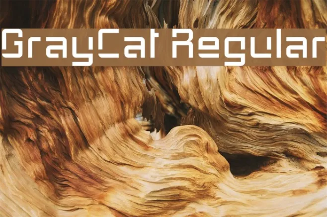 GrayCat Regular Example 1