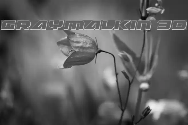 Graymalkin 3D Font examples