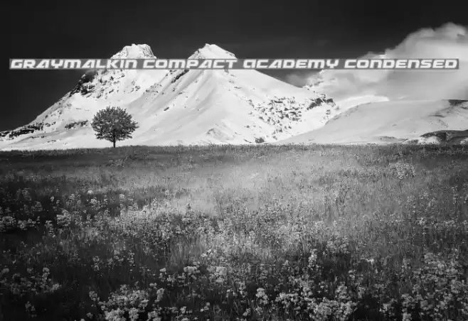 Graymalkin Compact Academy Condensed Font examples