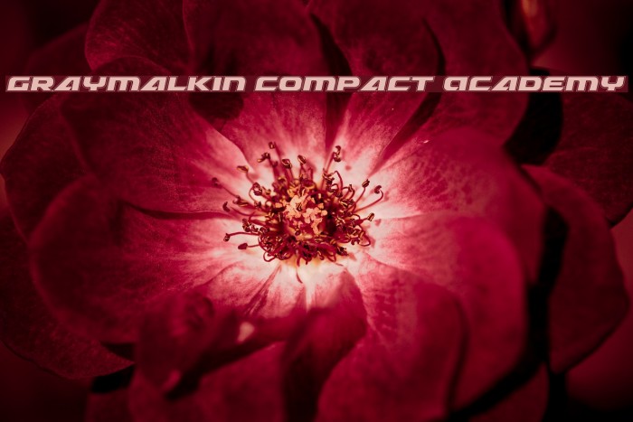 Graymalkin Compact Academy Font examples