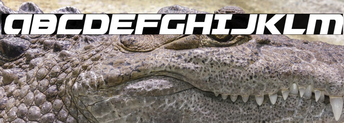 Graymalkin Compact Condensed Example 1