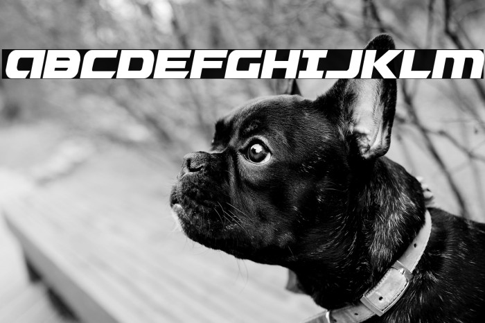 Graymalkin Compact Condensed Example 3