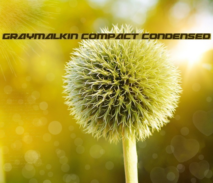 Graymalkin Compact Condensed Example 2