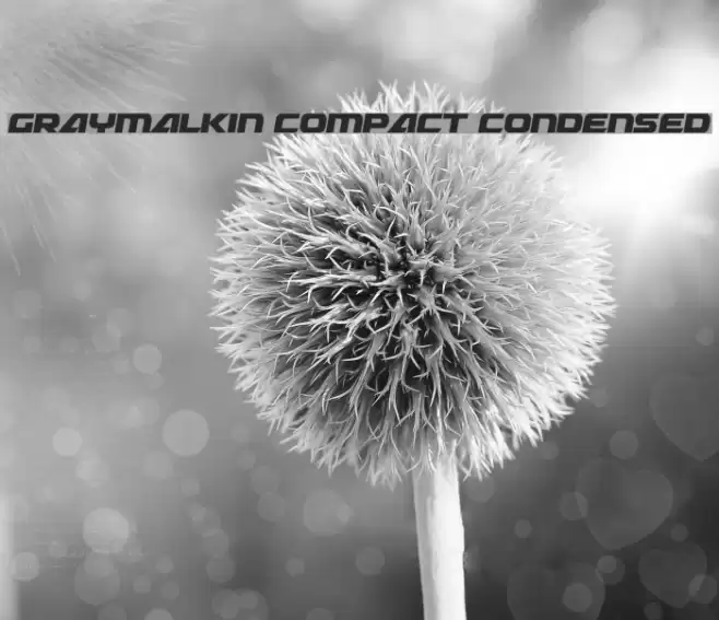 Graymalkin Compact Condensed Font examples