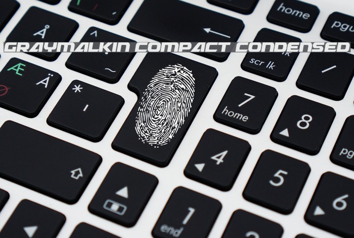 Graymalkin Compact Condensed Example 3