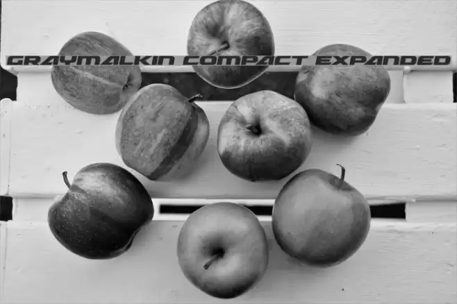 Graymalkin Compact Expanded Font examples