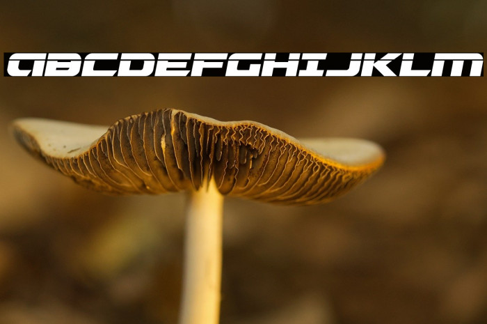 Graymalkin Compact Laser Example 2