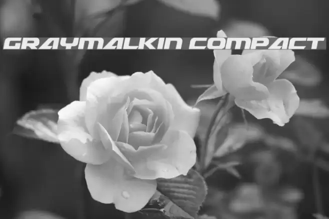 Graymalkin Compact Font examples