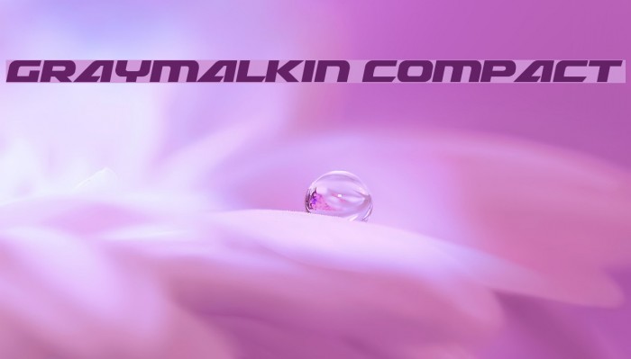 Graymalkin Compact Example 3