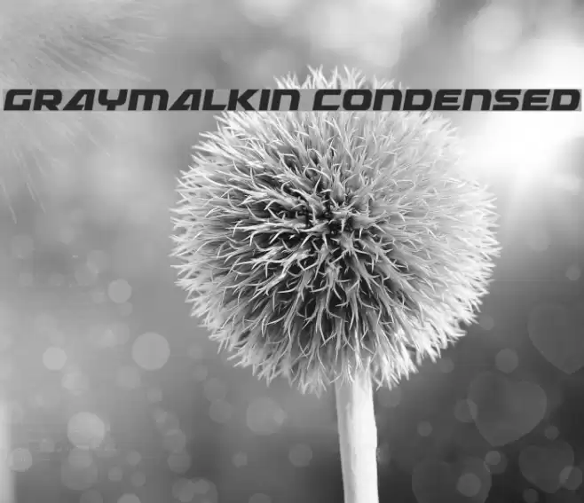 Graymalkin Condensed Font examples