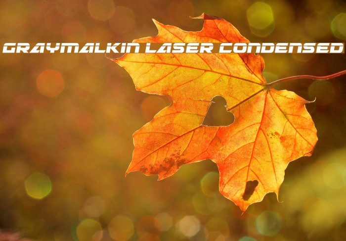Graymalkin Laser Condensed Example 2