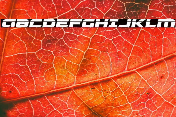 Graymalkin Laser Example 3