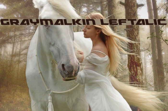 Graymalkin Leftalic Font examples
