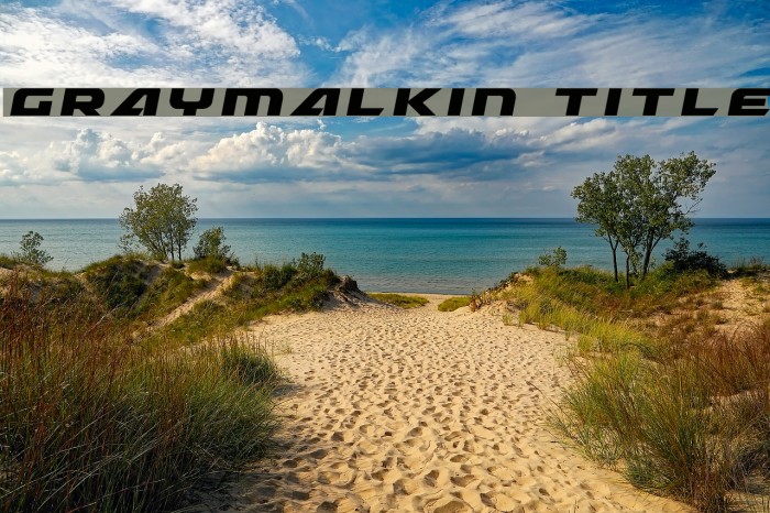 Graymalkin Title Example 2