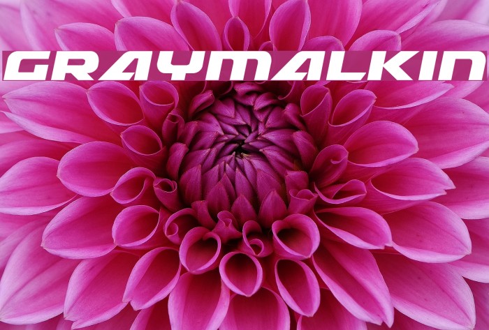 Graymalkin Font examples