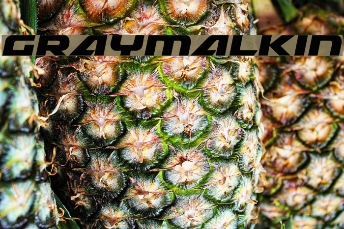 Graymalkin Font examples