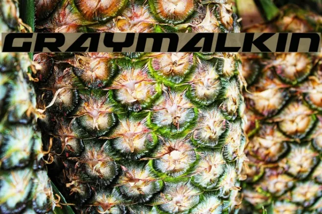 Graymalkin Example 3