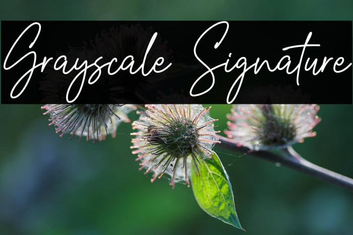 Grayscale Signature Example 3