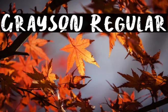 Grayson Regular Example 1
