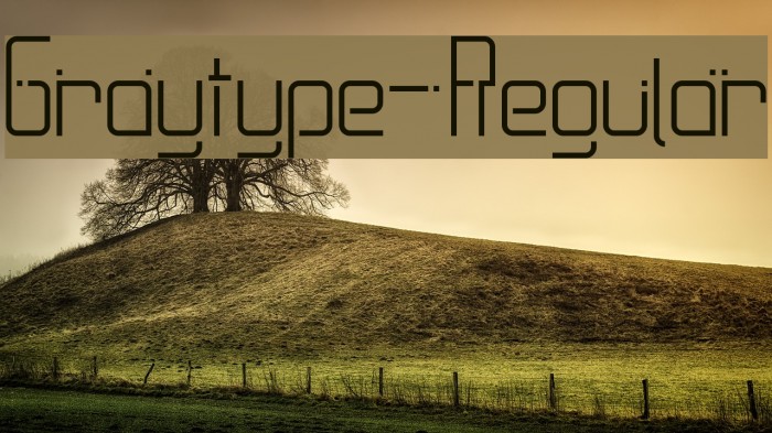 Graytype-Regular Example 3