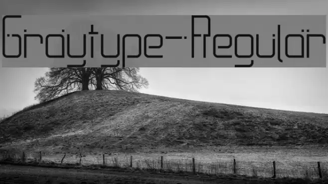 Graytype-Regular Font examples