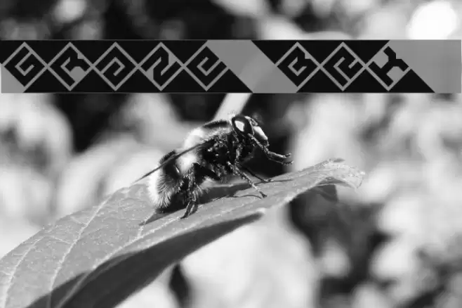 Graze BRK Font examples