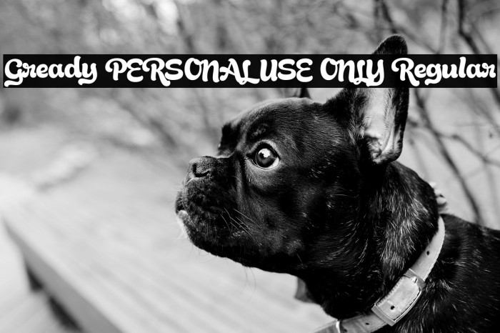 Gready PERSONAL USE ONLY Regular Example 2