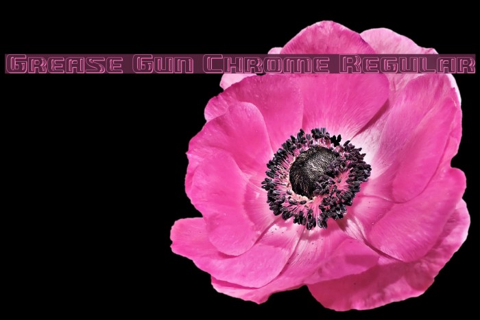 Grease Gun Chrome Regular Font examples