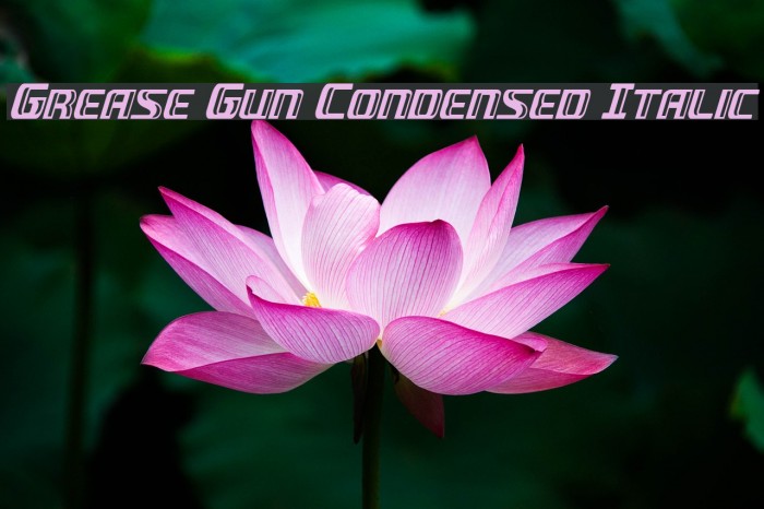 Grease Gun Condensed Italic फ़ॉन्ट examples