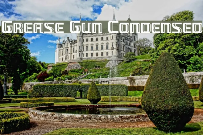 Grease Gun Condensed Example 1