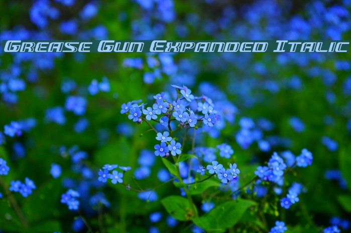 Grease Gun Expanded Italic Font examples