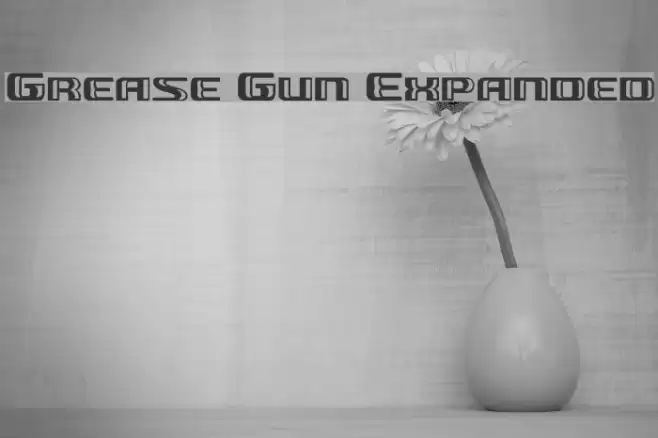 Grease Gun Expanded Font examples