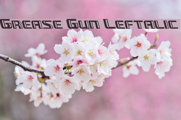 Grease Gun Leftalic Font examples