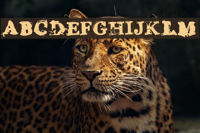 Grease Monkey Font examples