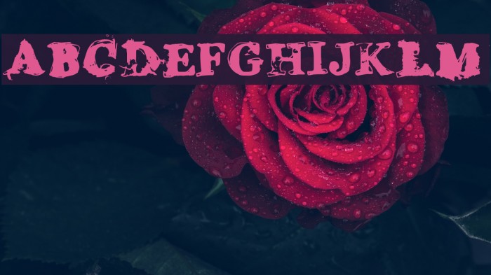 Grease Monkey Font examples
