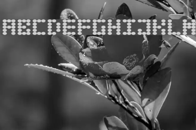 Greaseballs Font examples