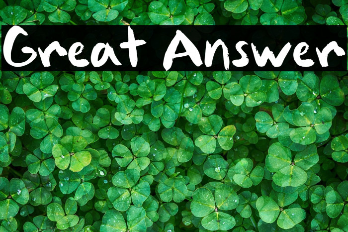 Great Answer Example 1