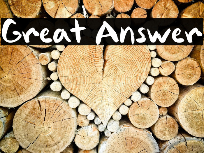 Great Answer Example 3