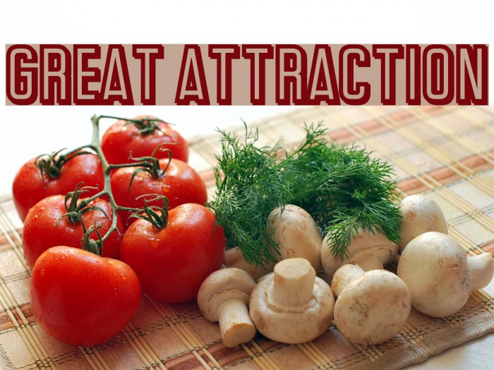 Great Attraction Font examples