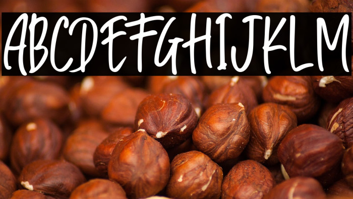 Great Authorized Example 1