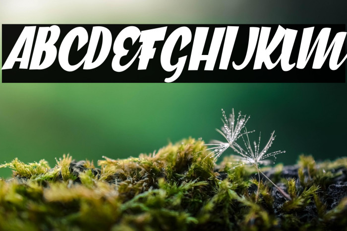 Great Cities Personal Use Regular Example 3