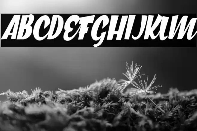 Great Cities Personal Use Regular Font examples