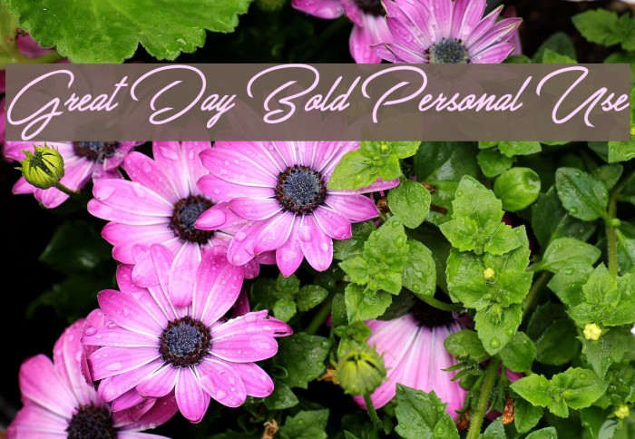 Great Day Bold Personal Use Font examples