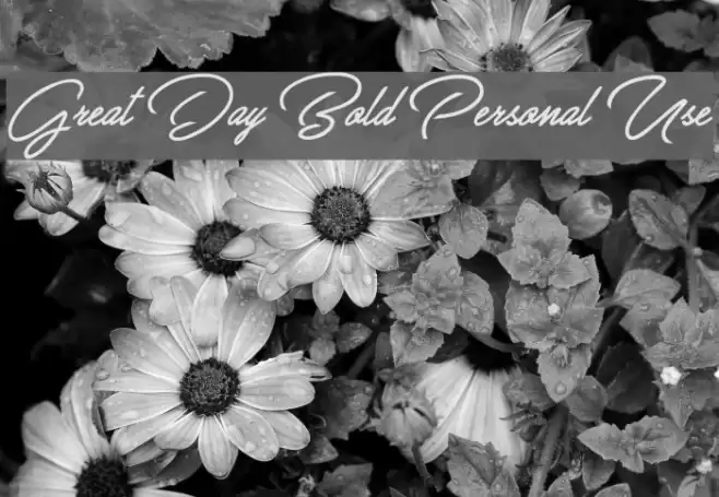 Great Day Bold Personal Use Font examples