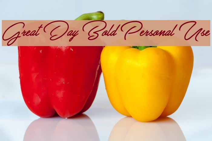 Great Day Bold Personal Use Font examples